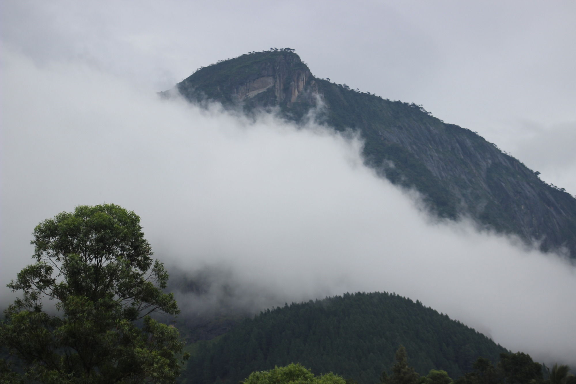 The Glenrock Wellness Nature Resort Belihuloya Εξωτερικό φωτογραφία